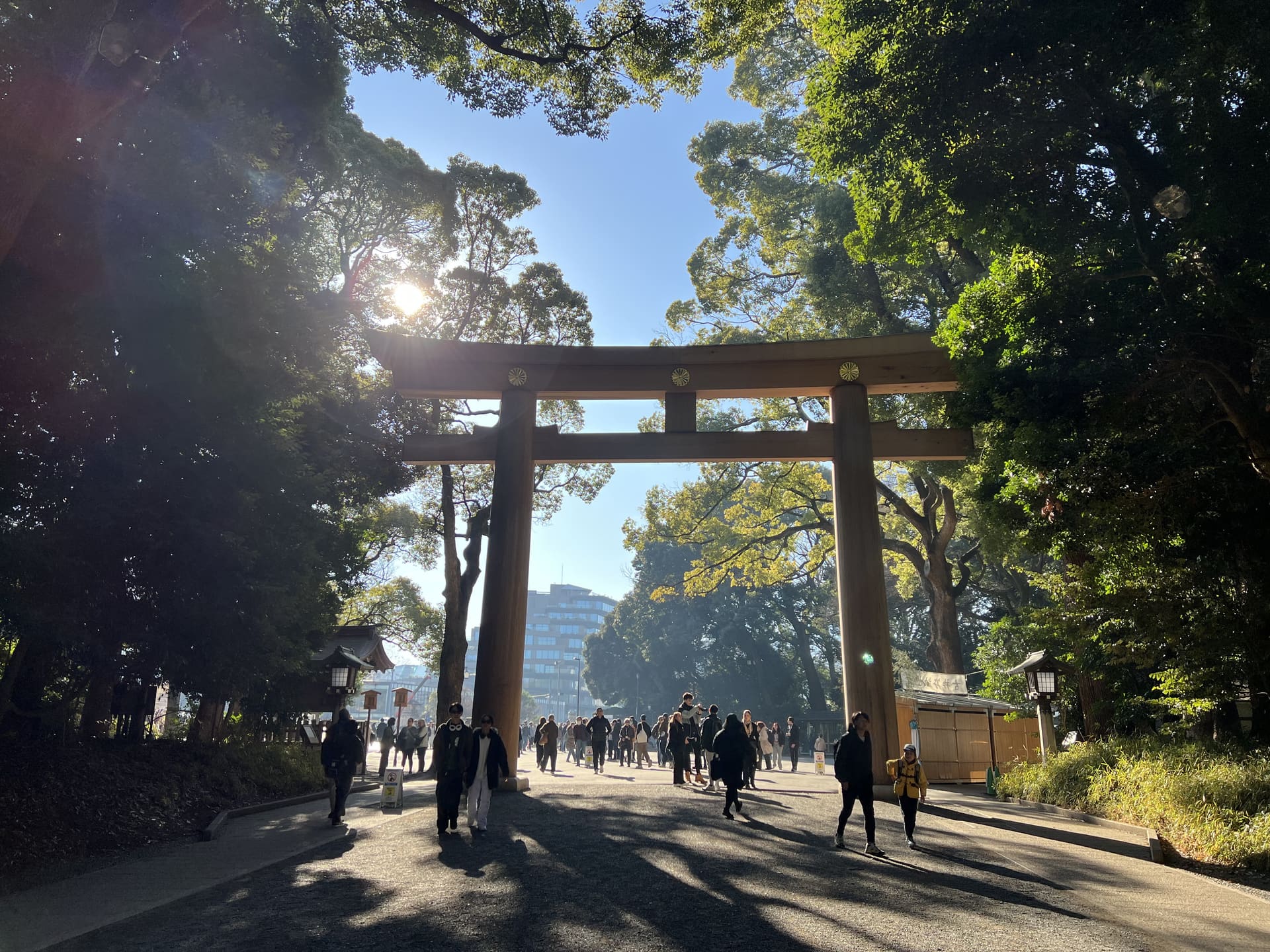 The large wooden torii gate at the entrance to Meiji Shrine in Harajuku