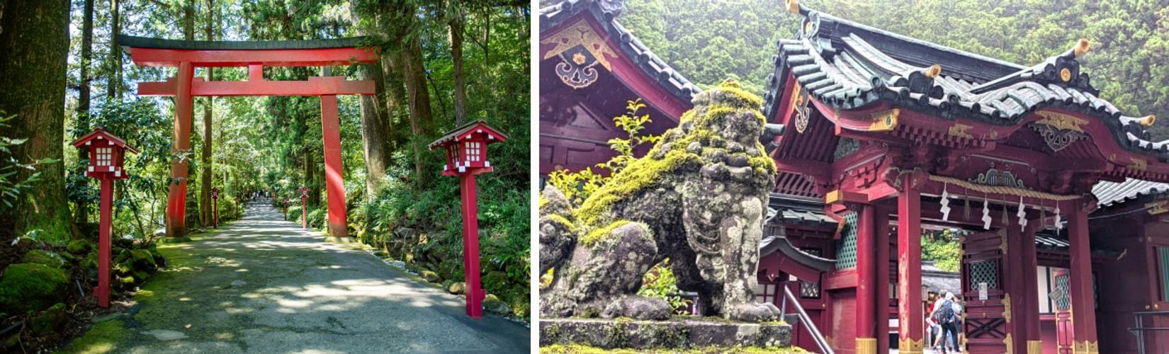 The forest approach to Hakone Shrine, and the shrine's main building with a moss-covered komainu statue