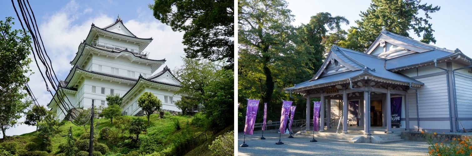 Odawara Castle's white main keep rising above the trees, and the entrance to one of its museum buildings