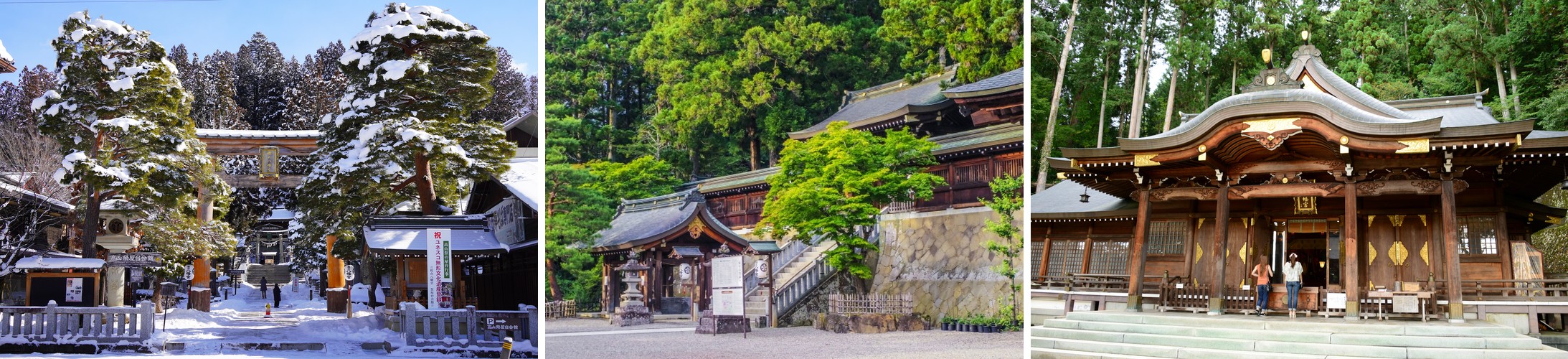 The shrine’s torii gate in winter snow, the stone staircase leading up through the grounds, and the shrine’s main hall