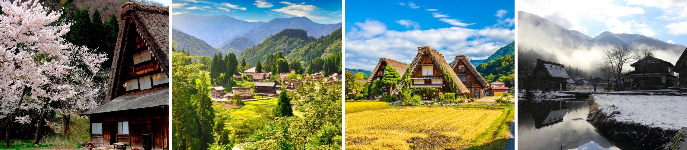 Shirakawa-go’s gassho-zukuri houses across the four seasons — cherry blossoms in spring, green rice terraces in summer, golden harvest fields in autumn, and misty snow in winter