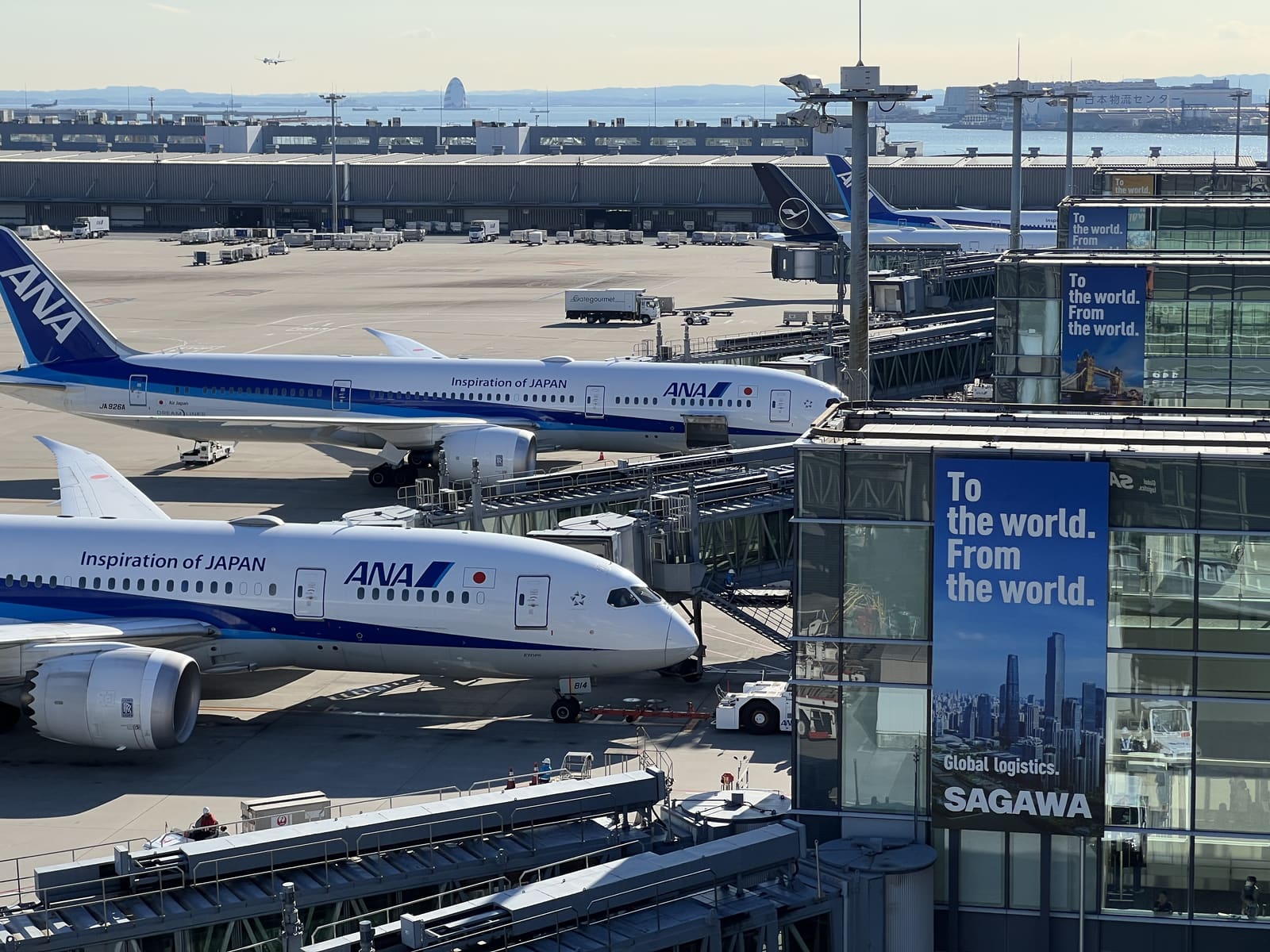 ANA aircraft parked at an international terminal in Tokyo
