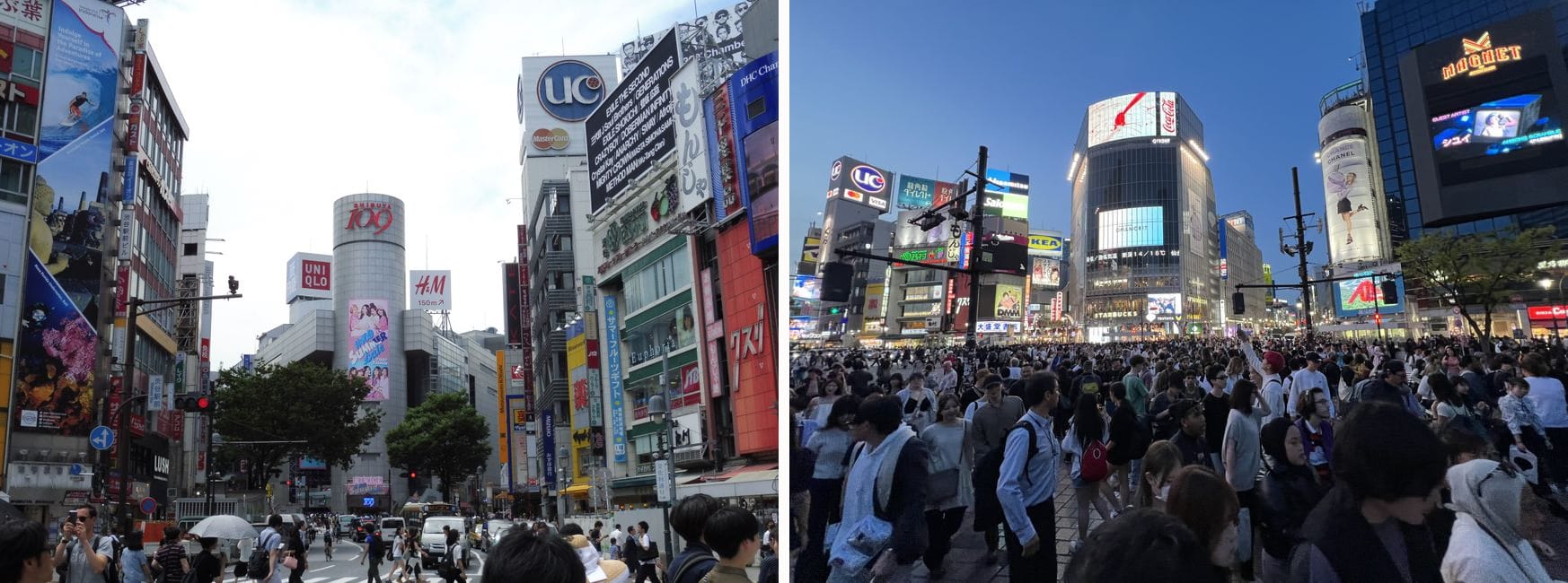 Shibuya 109 by day, and the Shibuya Scramble Crossing lit up at night