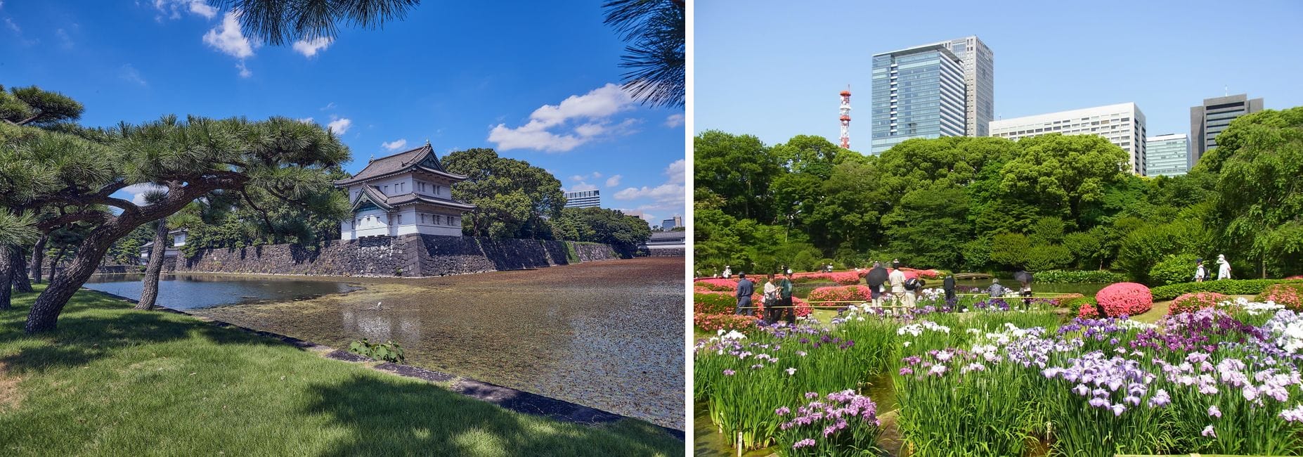 The Imperial Palace moat and a watchtower, and the East Garden's iris garden with the Tokyo skyline behind