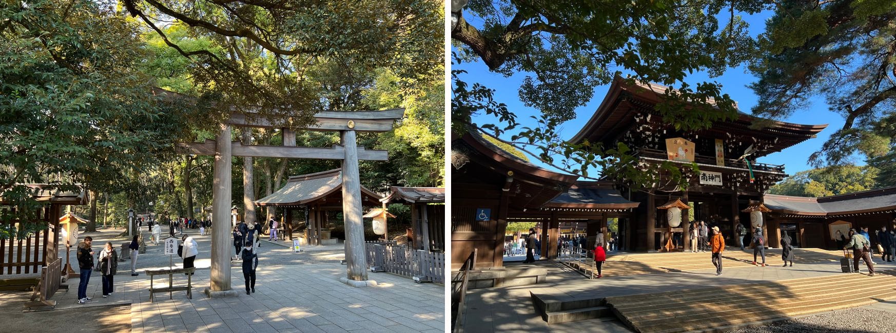The forest torii gate and the South Shrine Gate at Meiji Shrine