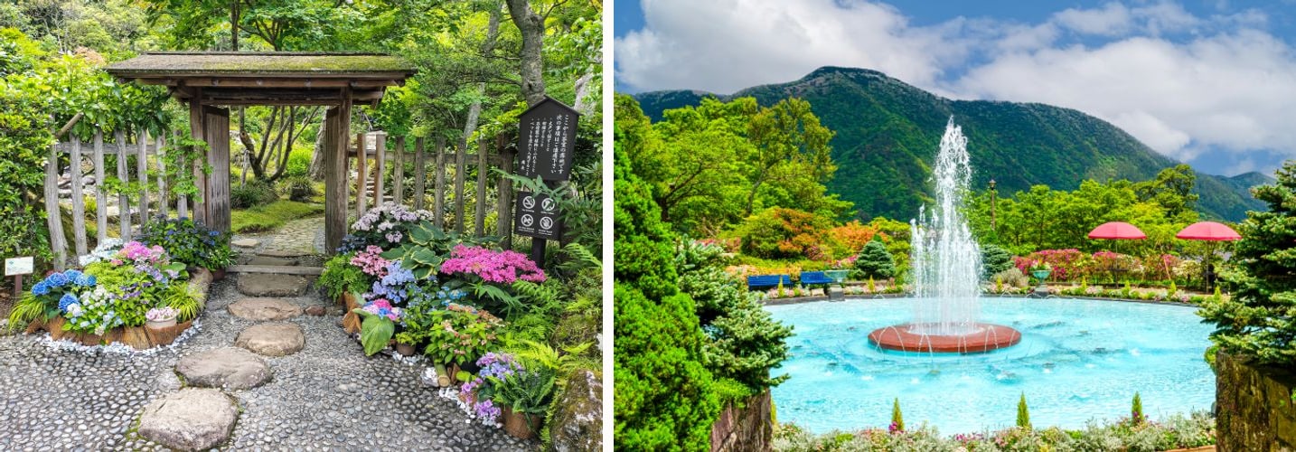 A traditional Japanese garden gate lined with hydrangeas, and a park fountain framed by green mountains