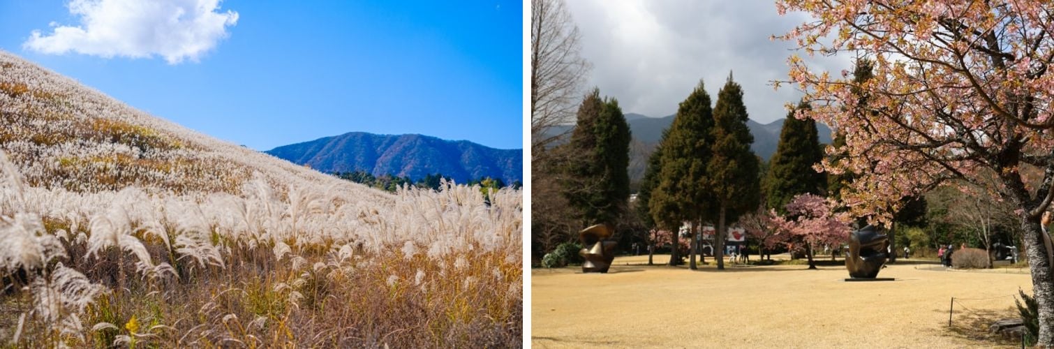 The pampas grass fields of Sengokuhara, and the sculpture garden at the Hakone Open-Air Museum