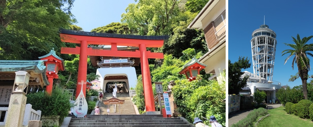 The red torii gate of Enoshima Shrine at the top of a stone staircase, and the Enoshima Sea Candle observatory rising above the garden