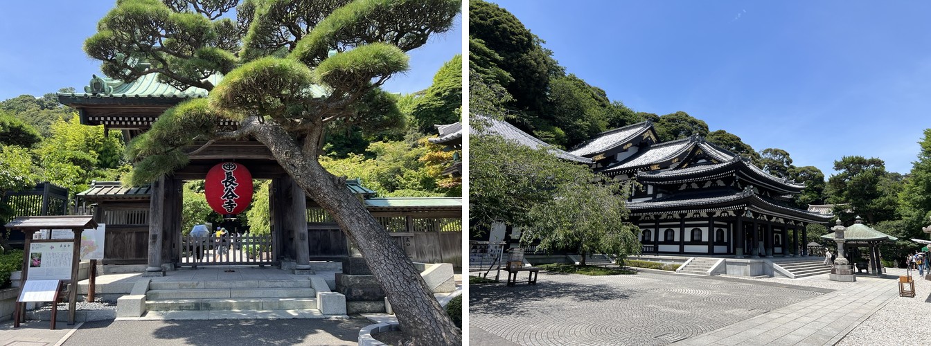 The entrance gate of Hase-dera Temple with its red lantern beneath a windswept pine, and the temple’s main hall framed by greenery