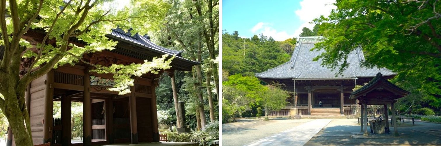 The Nitenmon Gate framed by maple branches, and Soshido Hall behind its gravel courtyard